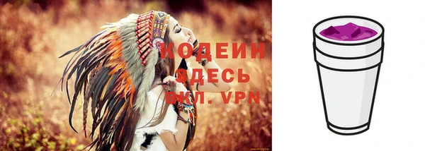 ГАЛЛЮЦИНОГЕННЫЕ ГРИБЫ Богданович