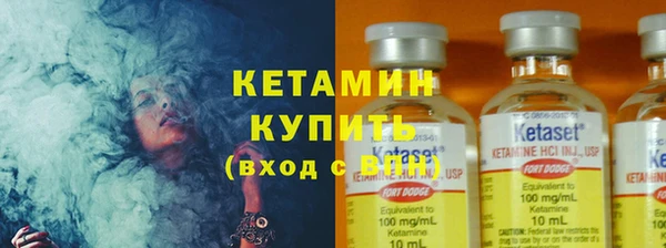 ГАЛЛЮЦИНОГЕННЫЕ ГРИБЫ Богданович