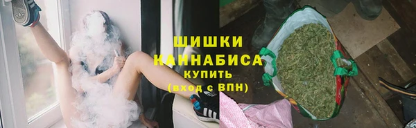 ГАЛЛЮЦИНОГЕННЫЕ ГРИБЫ Богданович