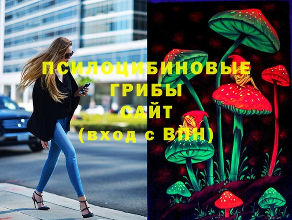 ГАЛЛЮЦИНОГЕННЫЕ ГРИБЫ Богданович