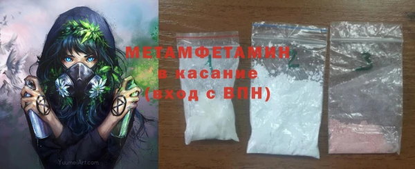 ГАЛЛЮЦИНОГЕННЫЕ ГРИБЫ Богданович