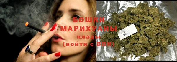 ГАЛЛЮЦИНОГЕННЫЕ ГРИБЫ Богданович